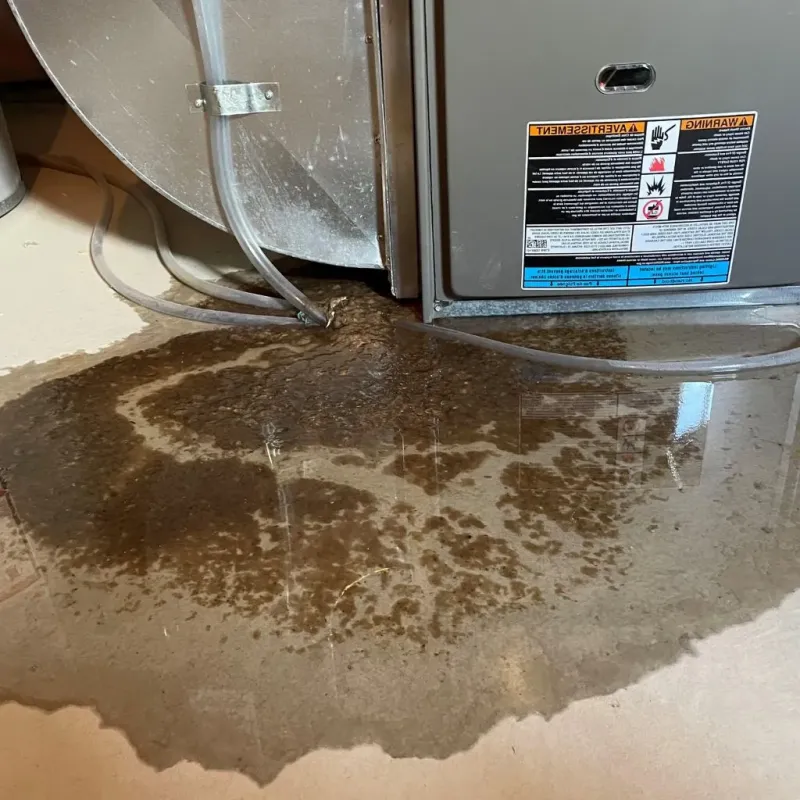 Pipe Burst and Leak Restoration in Hindman, KY