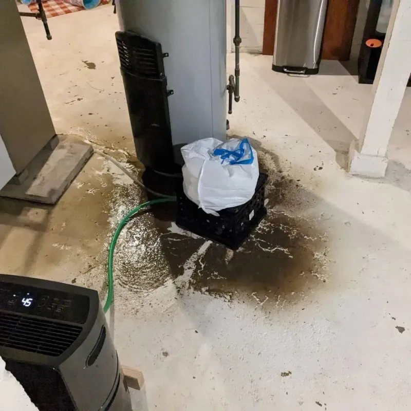 Sewage Backup Cleanup Service in Hindman, KY